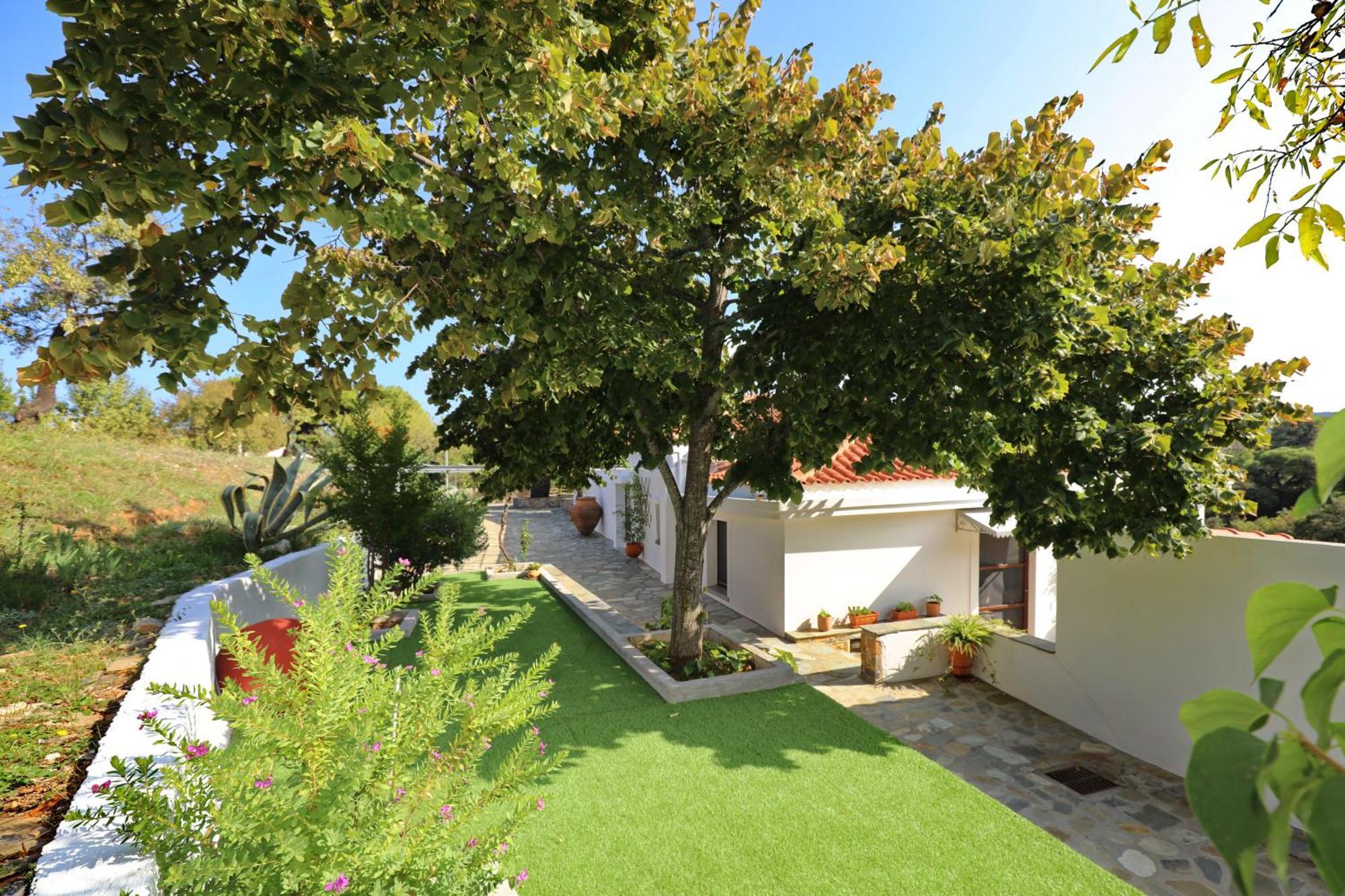 Diakopi Villa Σκόπελος Εξωτερικό φωτογραφία